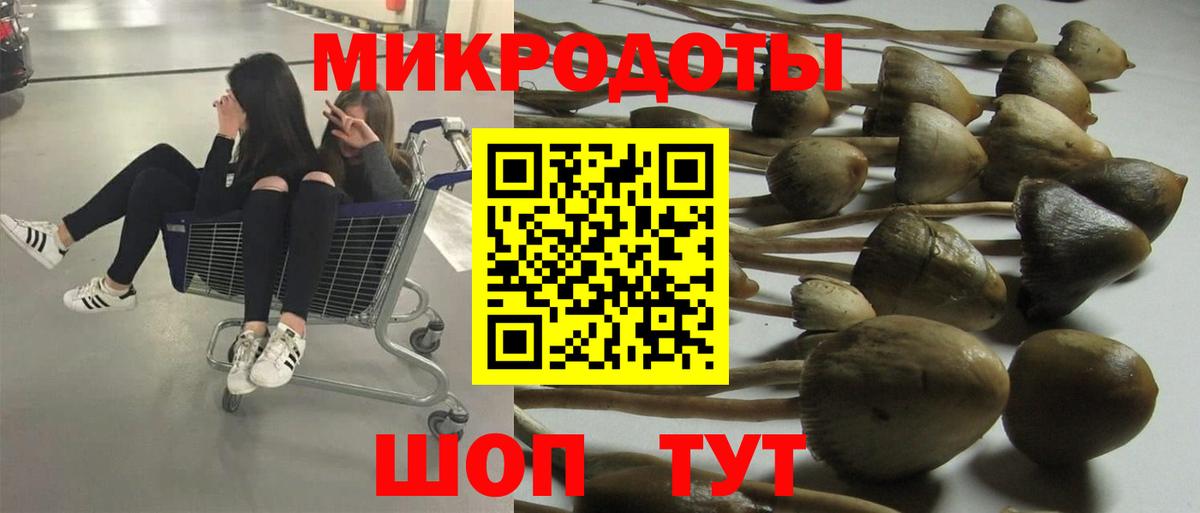 Псилоцибиновые грибы мицелий  закладки  Большой Камень  Вход с VPN 